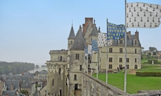 Castelli della Loira: escursione di un giorno a Chambord, Chenonceau e Amboise