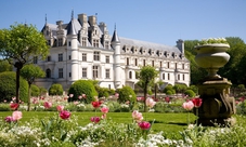 Castelli della Loira: escursione di un giorno a Chambord, Chenonceau e Amboise