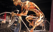 Biglietto salta coda: Body Worlds of Amsterdam