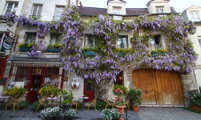 Guided tour of Notre Dame, Ile de la Cité and Wine Tasting