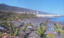 Tour of Puerto de la Cruz in Tenerife