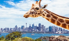 Australia Multi City pass fper 5,7 o 10 attrazioni