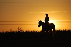 Passeggiata a cavallo, Provincia di Mantova, 1 persona