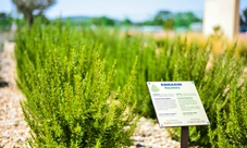 L'Occitane en Provence: tour gratuito della fabbrica, del museo e del giardino