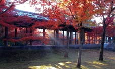 Guided walking tour of Kyoto - city of culture