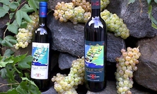 Tour dei vigneti e degustazione di vini nelle Cinque Terre