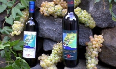 Tour dei vigneti e degustazione di vini nelle Cinque Terre