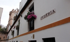 Jewish Quarter and Plaza de España of Seville private guided tour