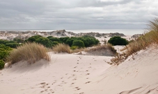 Visita guidata del Parco nazionale di Doñana da Siviglia