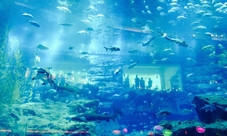 Tour di Dubai: Burj Khalifa, Acquario, Marina e Souk locali