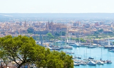 Palma de Mallorca hop-on hop-off bus tour