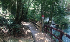 Rainforest adventure from Ocho Rios