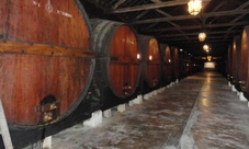 Arrábida & Sesimbra: Tour and Wine Tasting