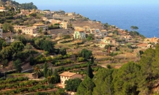 Mallorca guided tour with lunch and transport