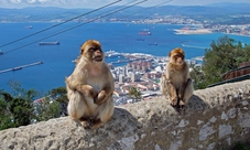 Gibraltar guided excursion from Seville