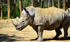Zoo di Parigi: abbonamento annuale