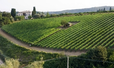 Montepulciano and the Nobile wine tour with lunch in a local restaurant and wine tasting