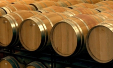 Wine tour in Valencia with tasting and lunch
