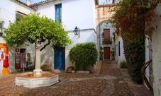 Tour guidato di Cordoba