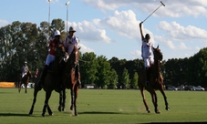 Polo Match and Lessons in Buenos Aires