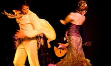 Bus tour di Valencia con tapas e show flamenco