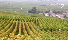 Full day tour in Champagne
