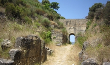 Biglietti per il Parco archeologico di Elea-Velia