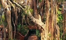 Loro Parque di Tenerife biglietti