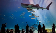 Australia Multi City pass fper 5,7 o 10 attrazioni