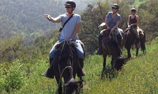 Classic Horseback Ride