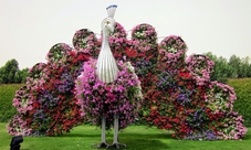 Flora and Fauna Tour in Dubai