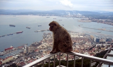 Gibraltar guided excursion from Seville
