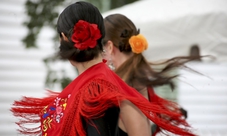 Tour guidato dell'Alhambra con spettacolo di flamenco e cena