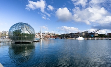 Biglietto combinato per Acquario di Genova, Biosfera e Ascensore Panoramico Bigo