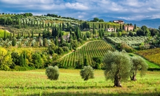 Tour del Chianti Classico con cena a partire da Pisa