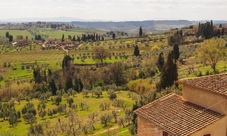 Chianti: tour con sommelier, visita di cantina biologica e degustazione di 3 vini