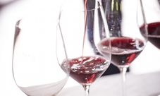 Degustazione dei vini Rosso e Nobile