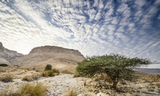 Masada, Ein Gedi and Dead Sea private full day tour from Jerusalem