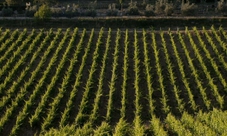 Degustazione privata di Chianti classico: tour di una giornata da Firenze