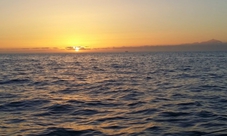 Southern Gran Canaria half day sailing tour