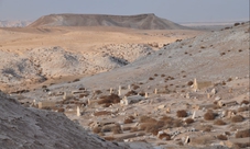 Photography tour of the desert and Dead Sea from Jerusalem