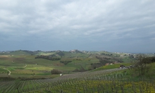 Esperienza enologica presso la cantina Alessio Brandolini nell'Oltrepò