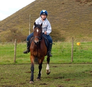 Trekking a cavallo - Sorano