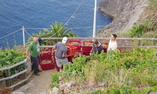 Tour dei vigneti e degustazione di vini nelle Cinque Terre