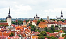 Escursione per crociere: tour panoramico di Tallinn di mezza giornata