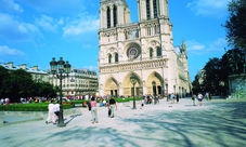 Parigi storica e cattedrale di Notre Dame: tour guidato in bus