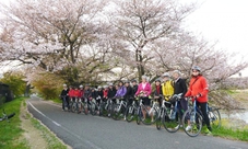 Guided bicycle tour in Kyoto