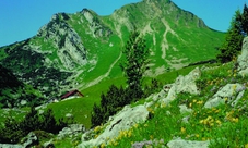 Abbazia di Ettal e Zugspitze: escursione in giornata da Monaco