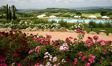 UNA SETTIMANA ALLE TERME DI SATURNIA