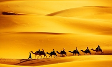 Safari con cammello nel deserto di Dubai